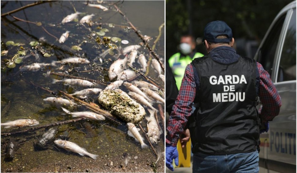 O poluare masivă cu amoniac pe Bicaz a ucis peștii din două păstrăvării. Populaţia, avertizată să nu consume apa din râu