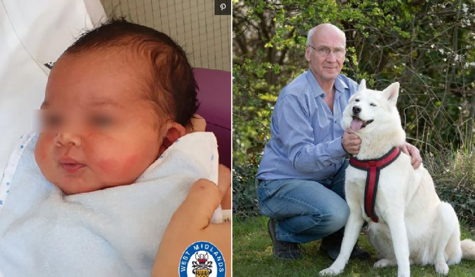 Un bebeluș, abandonat într-un parc din Marea Britanie, a fost salvat de un câine Husky