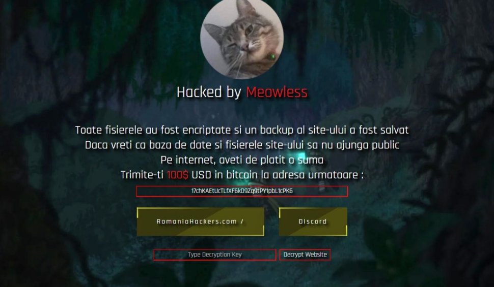 Site-ul Consiliului Judeţean Cluj, spart de hackerii de la Meowless: "Aveţi de plătit"