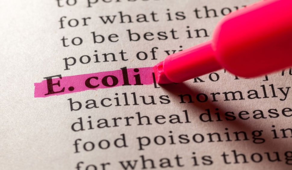Infecția urinară cu E.coli - cum poate fi prevenită ușor