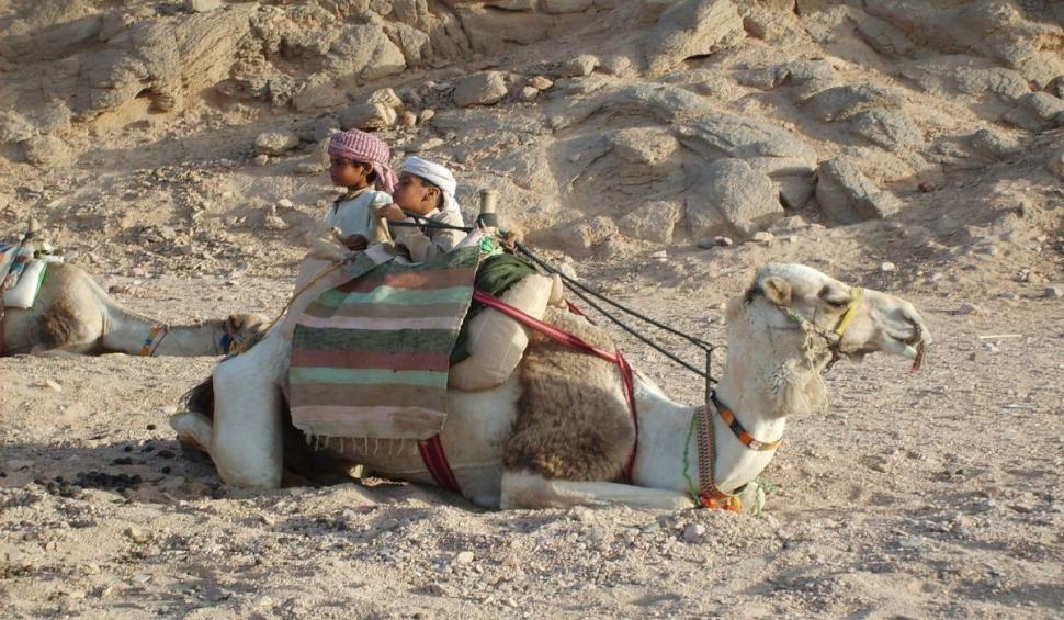 Rezerva bilete de avion in Hurghada, destinatia anului 2021 706618