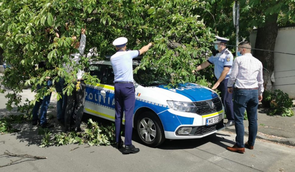 Maşină de Poliţie strivită de un copac smuls de vânt, în Bucureşti