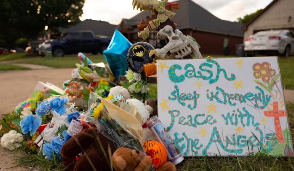 Momentul în care un copil este răpit din pat, de lângă fratele său geamăn, şi ucis fără milă de un tânăr de 18 ani 707592