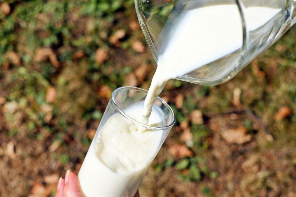 Mihaela Bilic răspunde uneia dintre cele mai mari controverse: Cât de sănătos este, de fapt, laptele de vacă