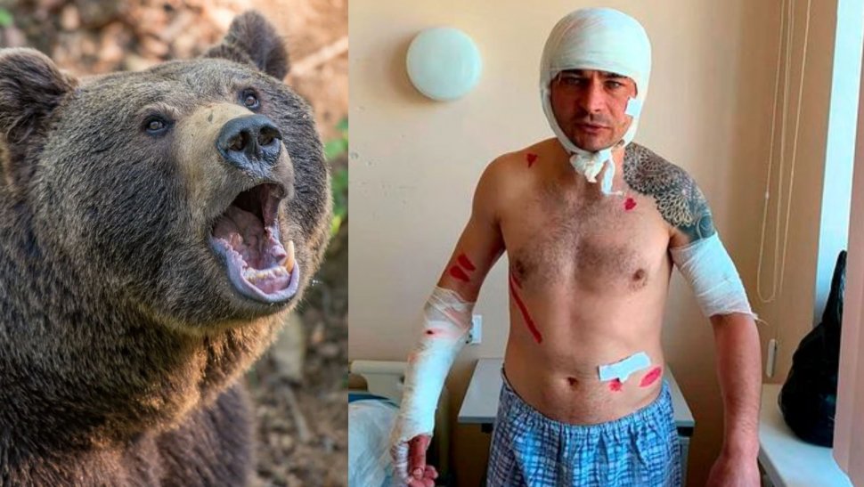 Un bărbat s-a salvat din colții unui urs după ce a făcut pe 'mortul' 