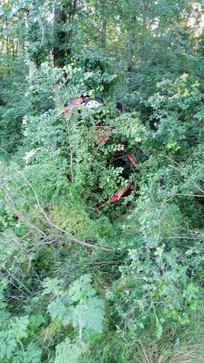 Un tânăr din Argeş a reuşit să urce un Logan în copaci, după un accident în Hârseşti 710650