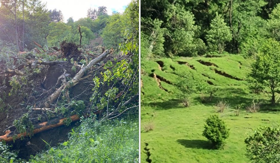 Zeci de hectare de pădure şi păşune au fost afectate de o alunecare masivă de teren în Buzău
