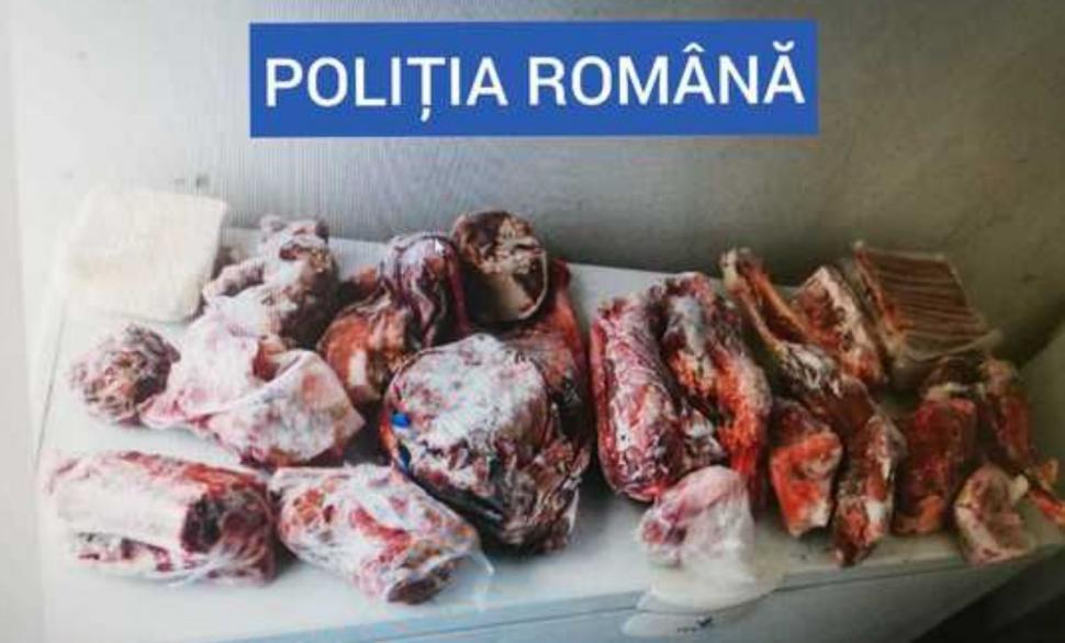 Ursoaică de patru luni găsită în curtea unui Maramureșean, împreună cu alte 40 de kg de carne de urs 710917