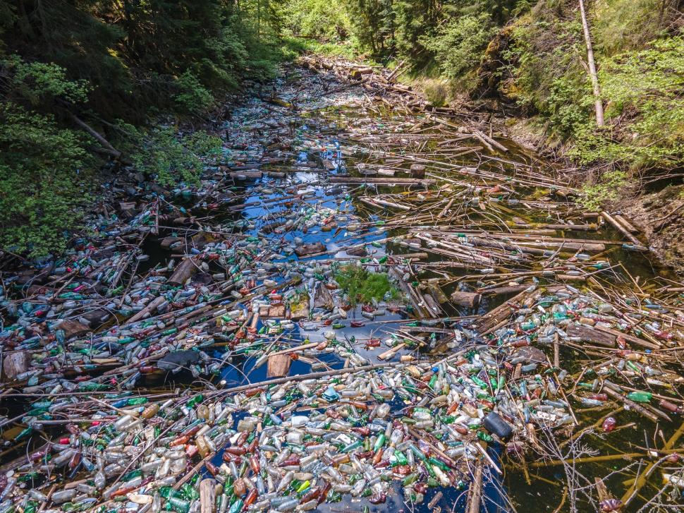 Unul din cele mai frumoase lacuri din Apuseni, invadat de gunoaie. Tone de PET-uri acoperă luciul apei 711607