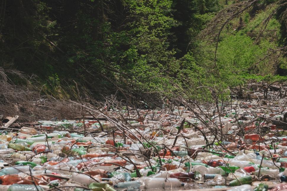 Unul din cele mai frumoase lacuri din Apuseni, invadat de gunoaie. Tone de PET-uri acoperă luciul apei 711610