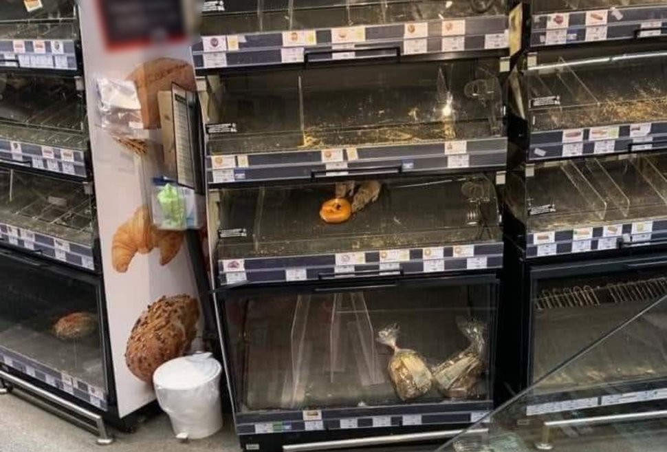 Imagine revoltătoare publicată de liberalul Adrian Moraru: Doi șobolani iau prânzul în rafturile cu produse de panificație