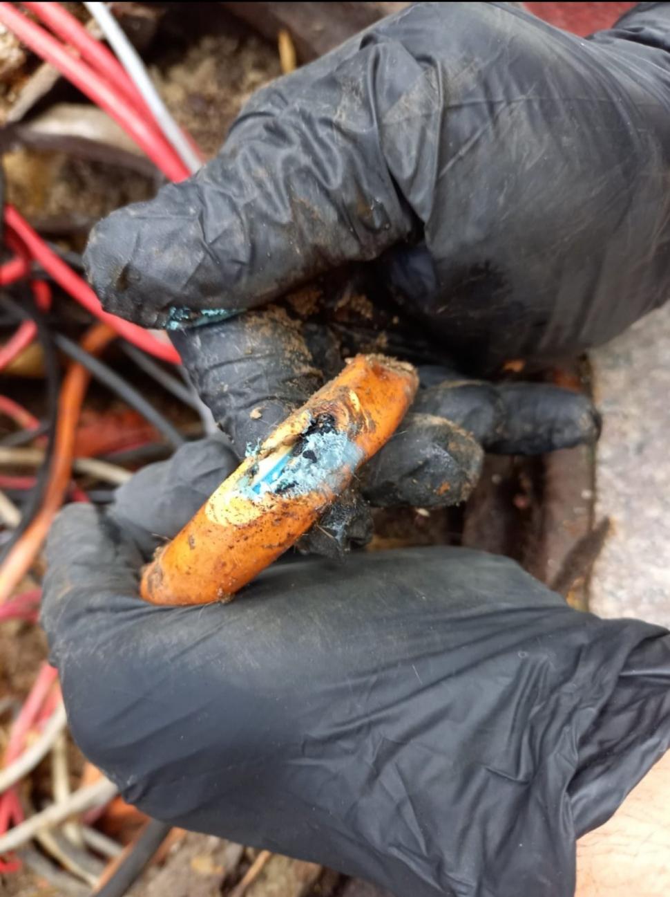 Șobolanii au dat peste cap traficul de la Unirii, după ce au ros cablurile de la semafoare 712062