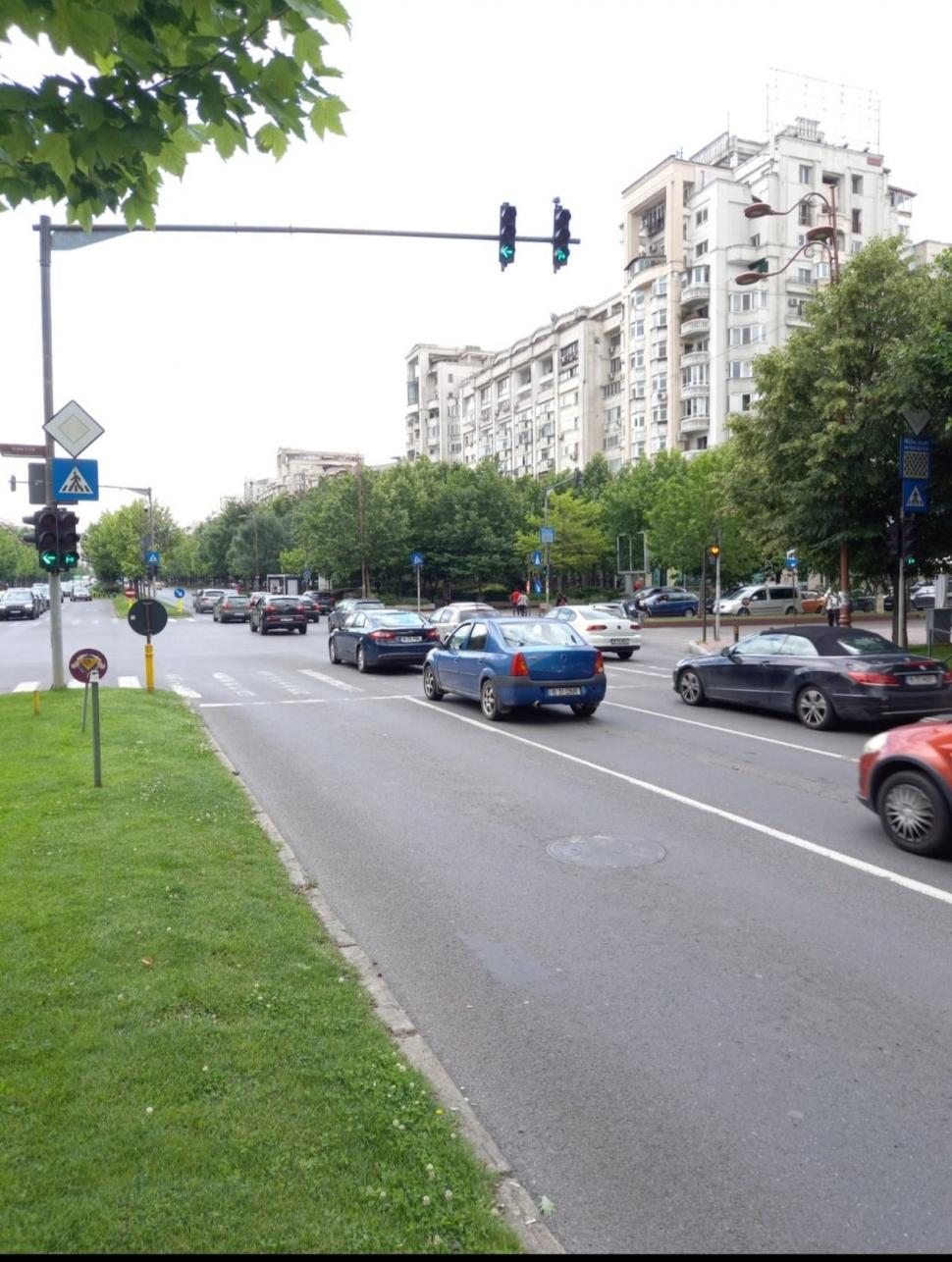 Șobolanii au dat peste cap traficul de la Unirii, după ce au ros cablurile de la semafoare 712063