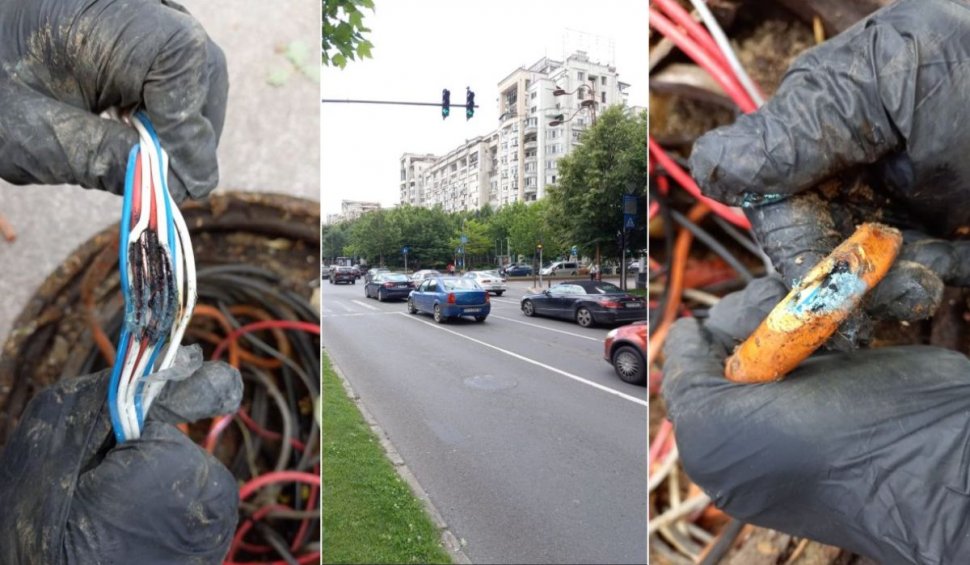 Șobolanii au dat peste cap traficul de la Unirii, după ce au ros cablurile de la semafoare