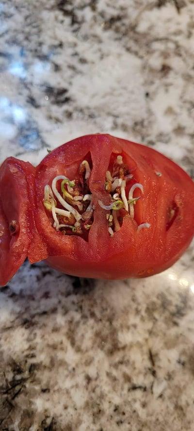 Ce a găsit un bărbat într-o roșie cumpărată de la Piața Obor: ”Ne omorâți cu zile” 712777