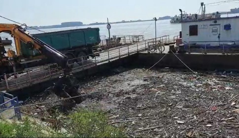 Dunărea sufocată de gunoaie. S-a format o adevarată deltă toxică cu resturi vegetale, cadavre și multe peturi