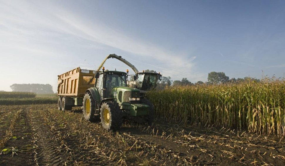Agricultura ecologică ar putea reduce producția de cereale şi ar tranforma UE într-un importator net