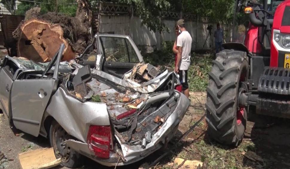Un gălățean a rămas fără mașină după ce un plop de 20 de metri s-a prăbușit peste ea 713272
