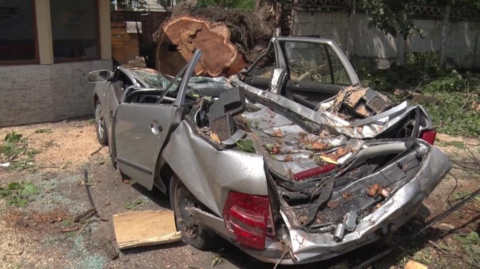 Un gălățean a rămas fără mașină după ce un plop de 20 de metri s-a prăbușit peste ea 713274