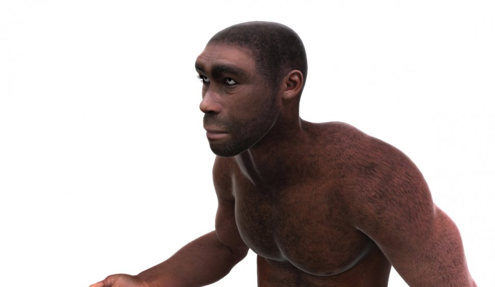 O nouă specie de om preistoric aruncă în aer teoriile actuale. Cine a colonizat, de fapt, Europa
