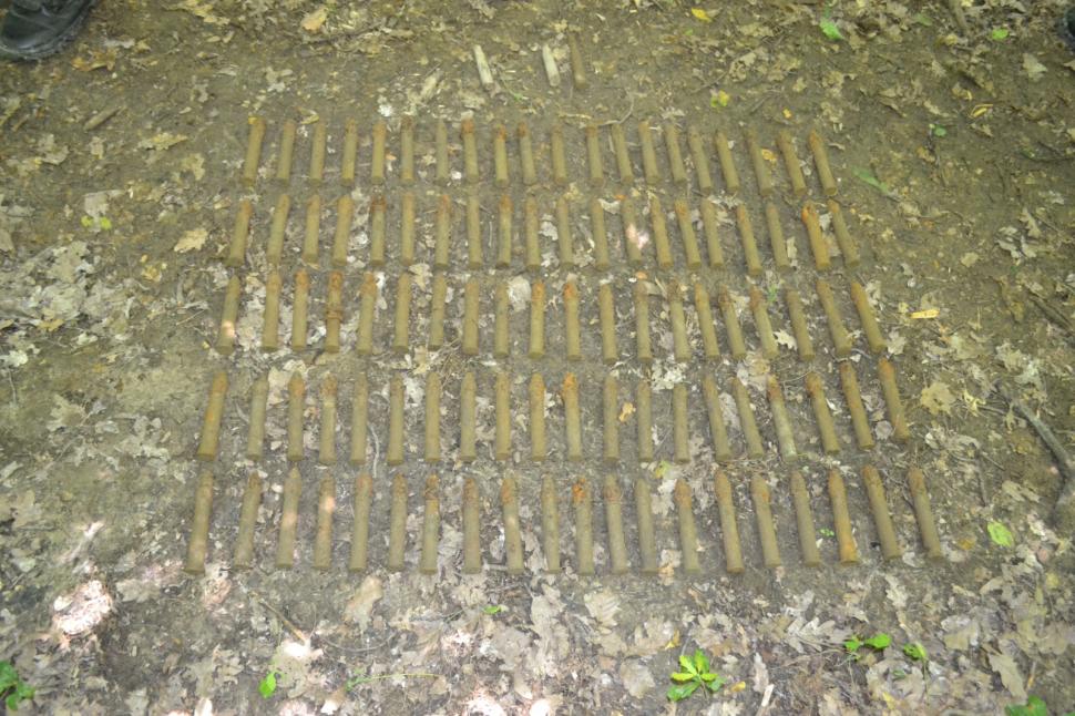 Un bărbat din Suceava căuta ciuperci, dar a găsit un adevărat arsenal  713661