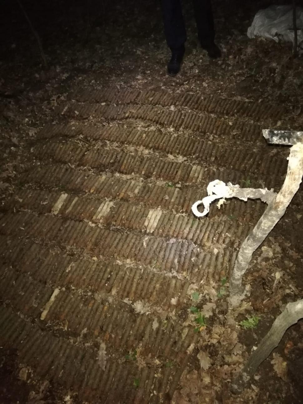 Un bărbat din Suceava căuta ciuperci, dar a găsit un adevărat arsenal  713662