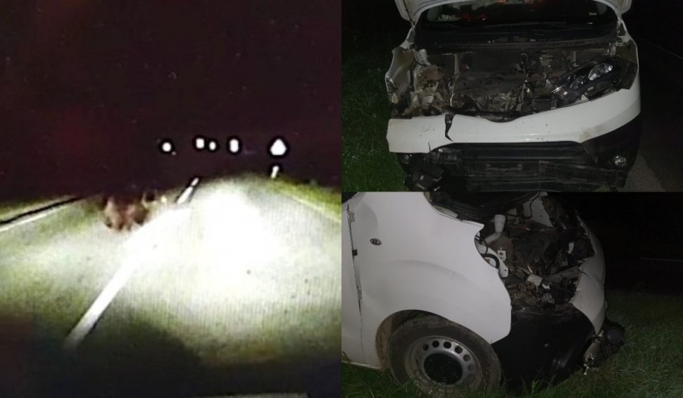 Mașină făcută praf, după ce șoferul a lovit un urs care i-a ieșit în cale, în Băile Țușnad