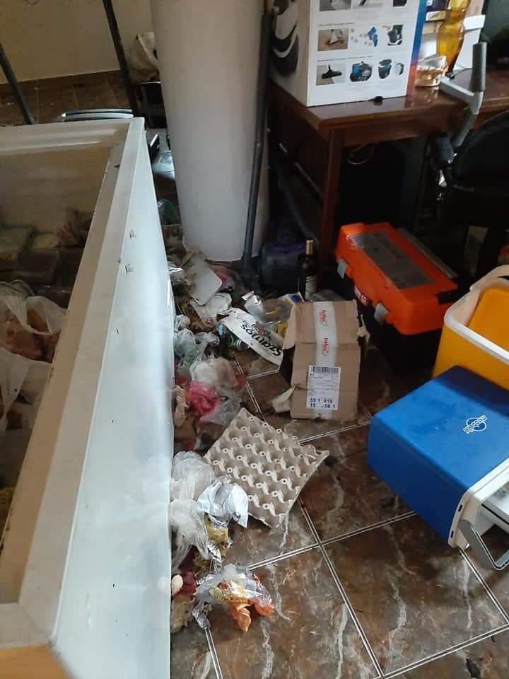Un urs a distrus casa unui politician din Tușnad Sat. Animalul a golit lada frigorifică 713642