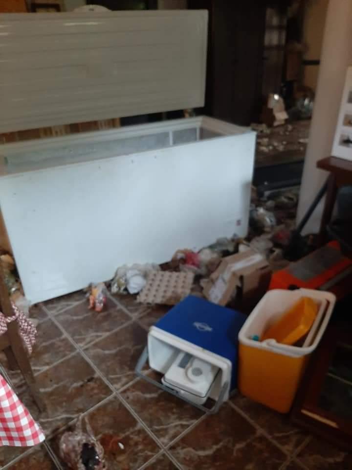 Un urs a distrus casa unui politician din Tușnad Sat. Animalul a golit lada frigorifică 713645