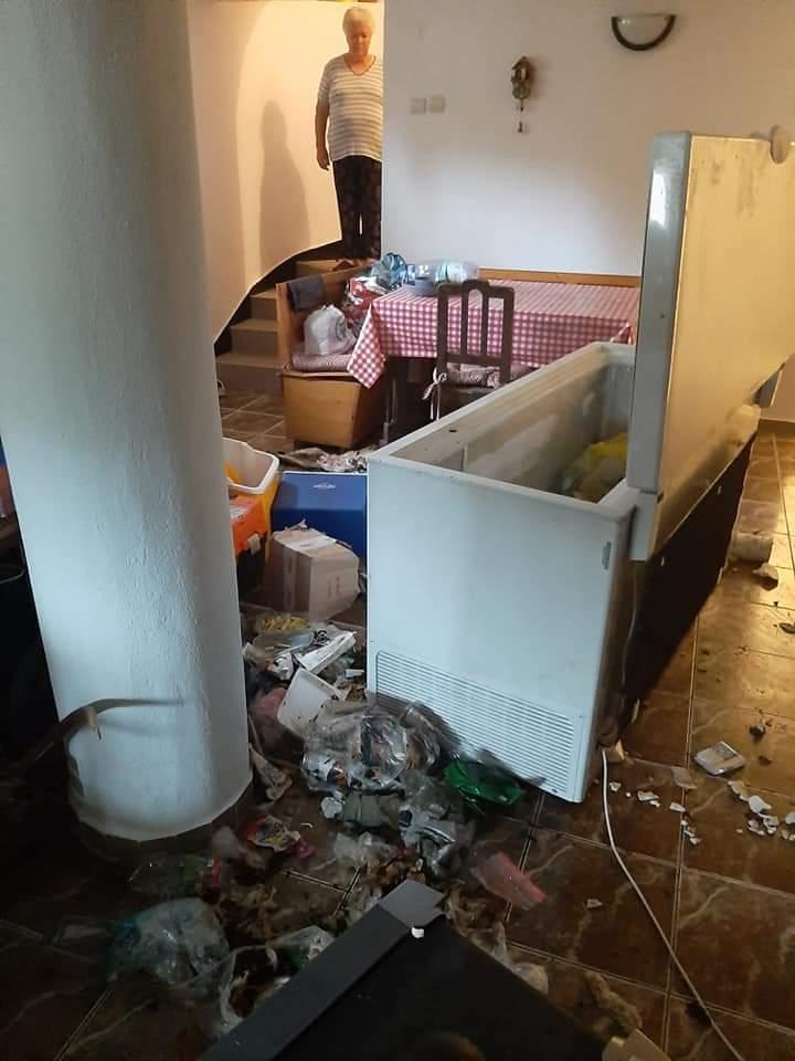 Un urs a distrus casa unui politician din Tușnad Sat. Animalul a golit lada frigorifică 713647