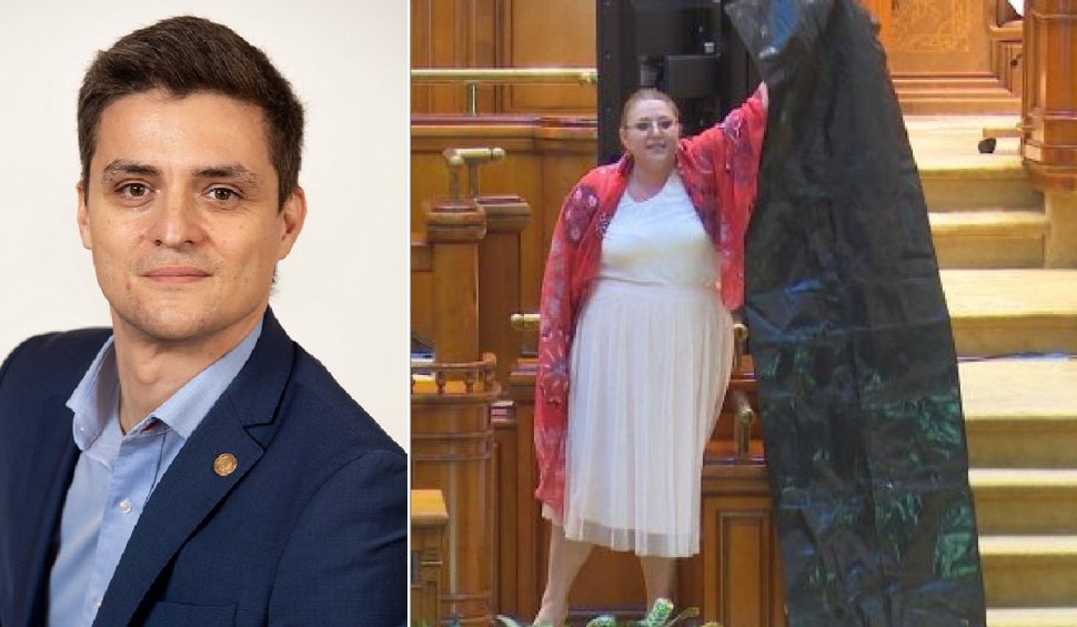 Chestorul Senatului Sergiu Vlad acuză că a fost agresat fizic de Diana Șoșoacă: "M-a tras de nas. A venit după mine și mi-a zis să-i dau sacul"