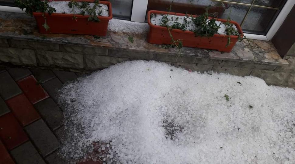 Prăpăd la Bacău după o ploaie torenţială. 7 arbori smulşi de vijelie şi zeci de gospodării inundate 714025