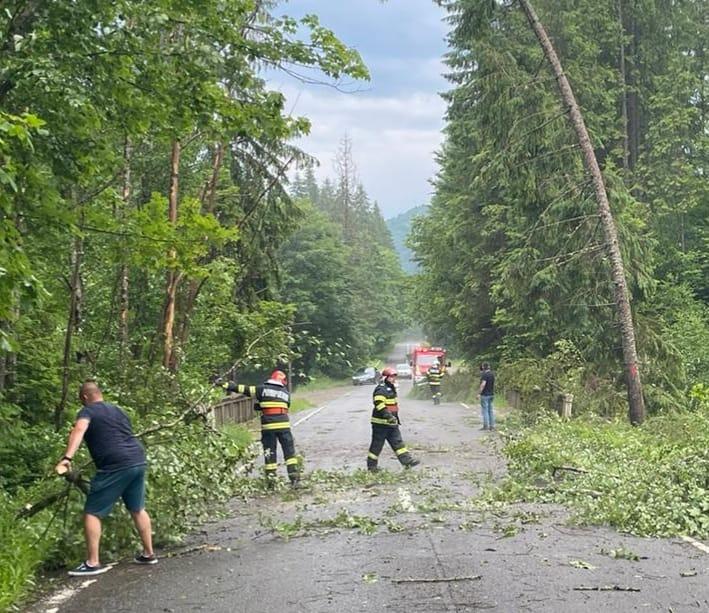 Prăpăd la Bacău după o ploaie torenţială. 7 arbori smulşi de vijelie şi zeci de gospodării inundate 714028