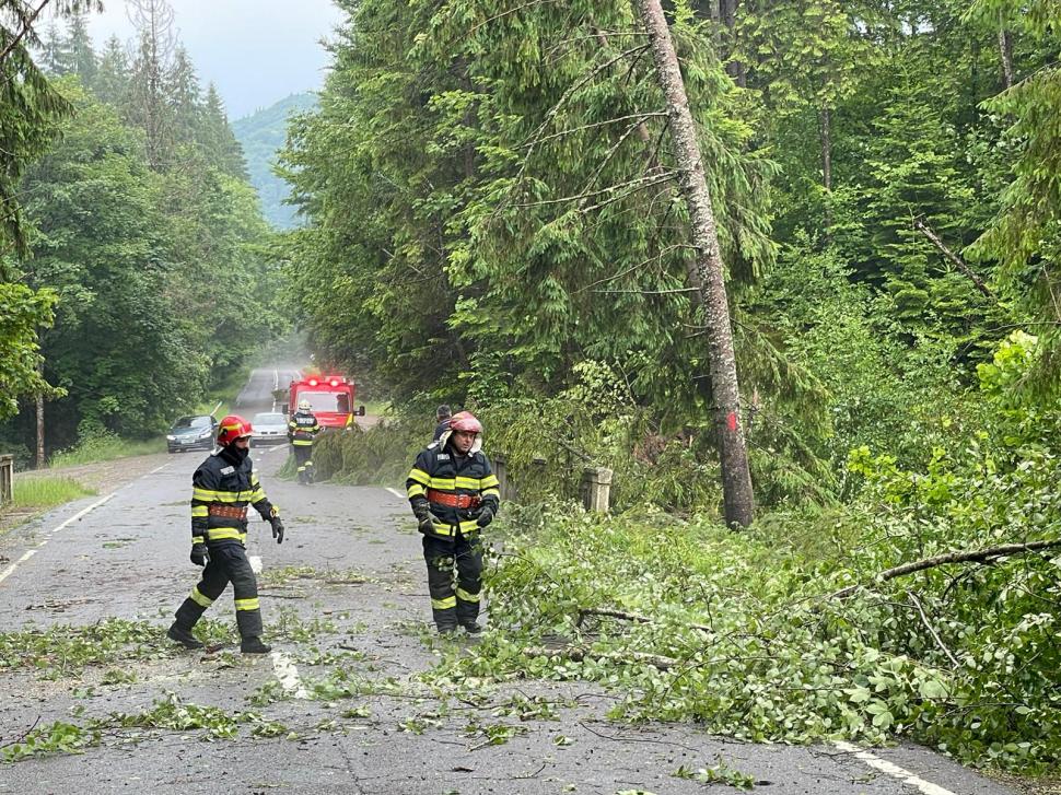 Prăpăd la Bacău după o ploaie torenţială. 7 arbori smulşi de vijelie şi zeci de gospodării inundate 714029