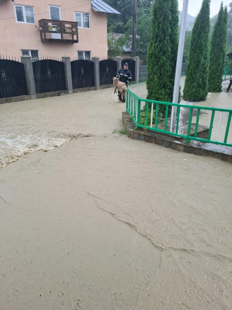 Furia apelor a făcut prăpăd în zonele vizate de codul roșu din Prahova 714631