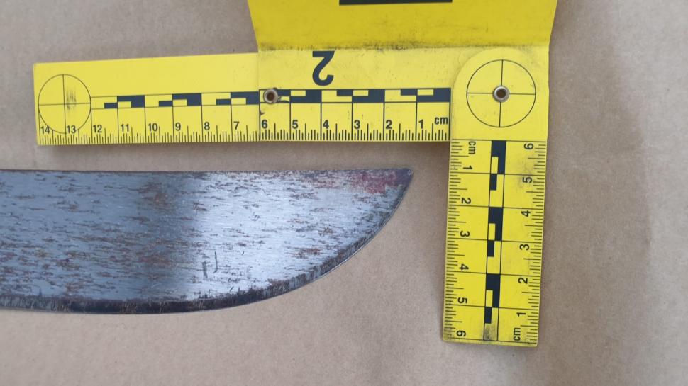 Criminalul violator din Corbu se drogase toată ziua. Procuroul de caz: "A fost un măcel. Efectiv l-a tăiat în bucăți cu maceta" 714691