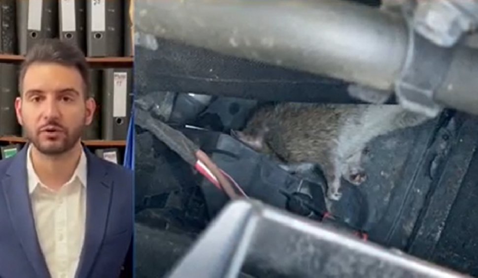 Avocatul Adrian Cuculis dă în judecată Primăria Capitalei, după ce şobolanii i-au stricat maşina