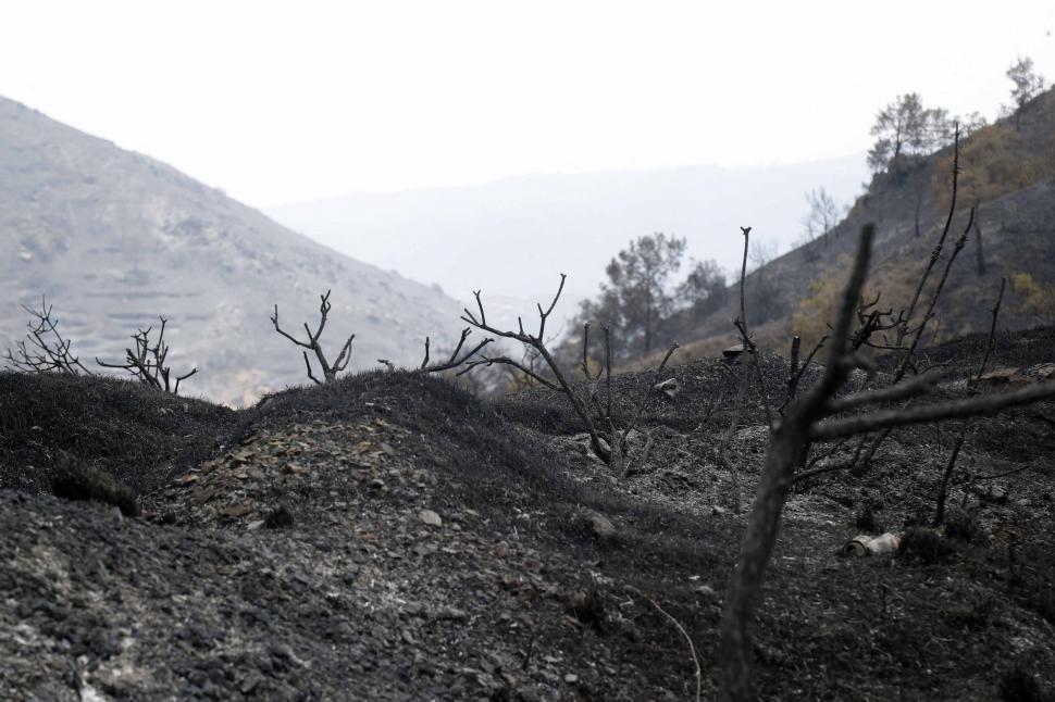 Au fost identificați cei patru morți în uriașul incendiu de vegetație din Cipru. Focul ar fi fost provocat 714873