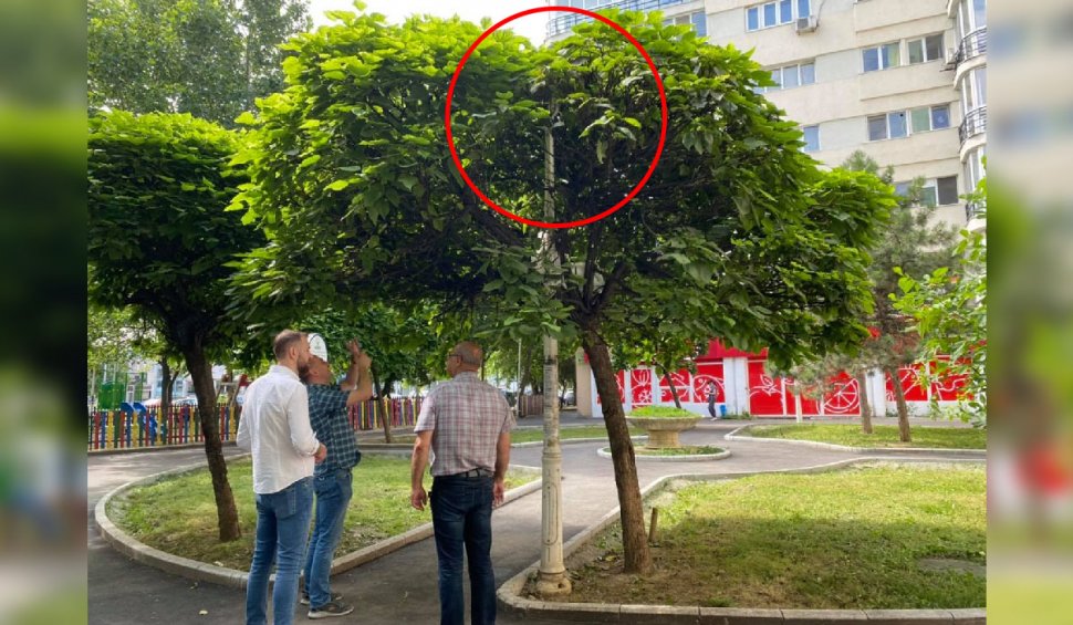 Radu Mihaiu, primarul Sectorului 2, descoperire inedită: "Am găsit un stâlp de iluminat în pom"
