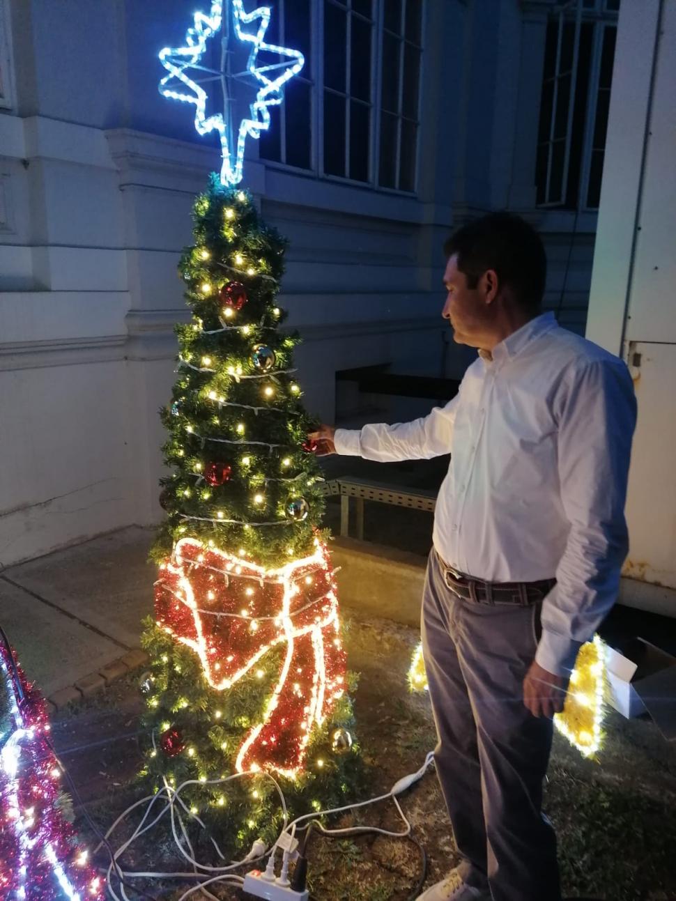 Primarul din Arad anunță, în luna lui Cuptor, că va cumpăra un brad de 20 de metri pentru Crăciun: "Ne pregătim!" 715415