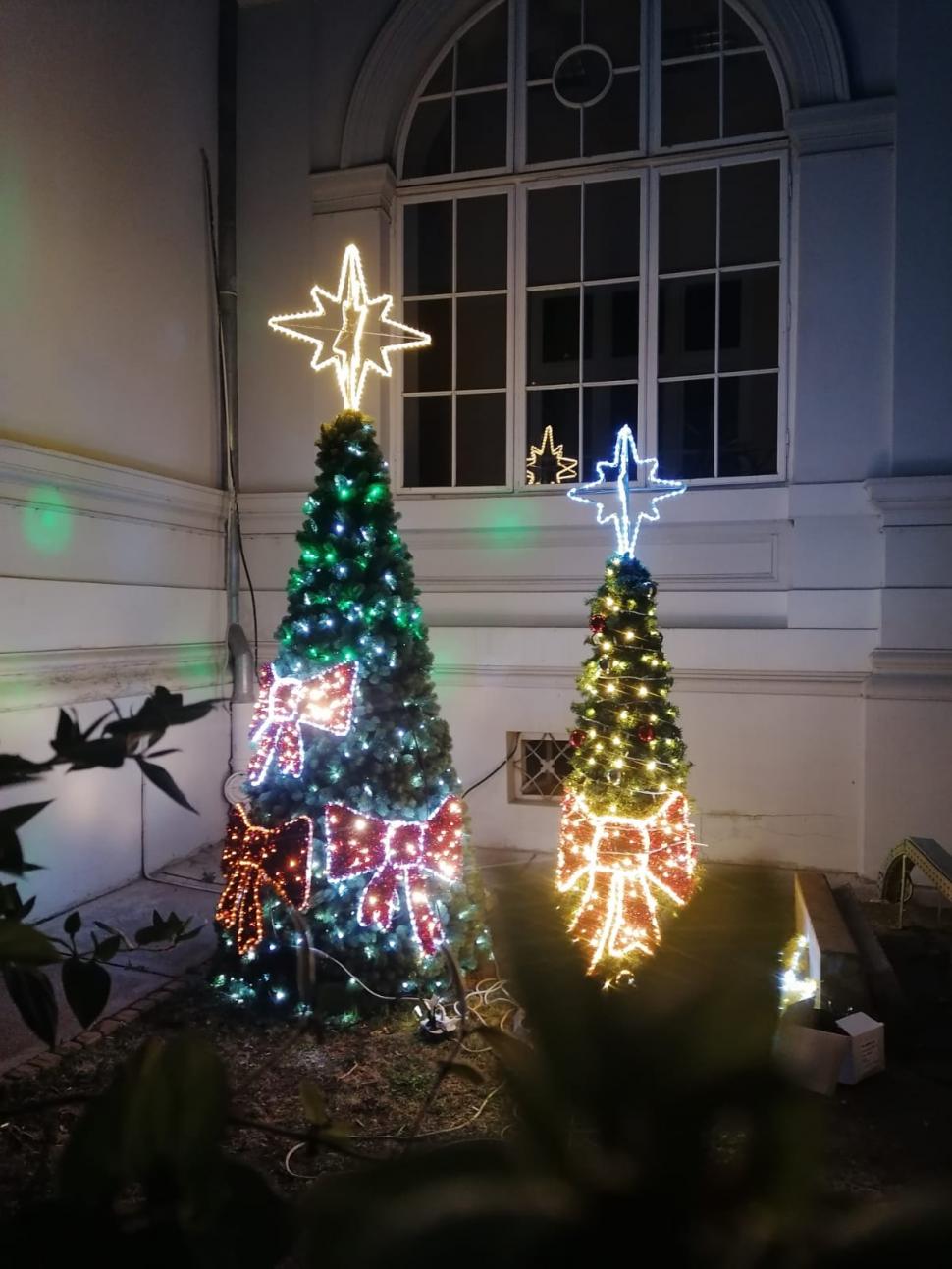 Primarul din Arad anunță, în luna lui Cuptor, că va cumpăra un brad de 20 de metri pentru Crăciun: "Ne pregătim!" 715416