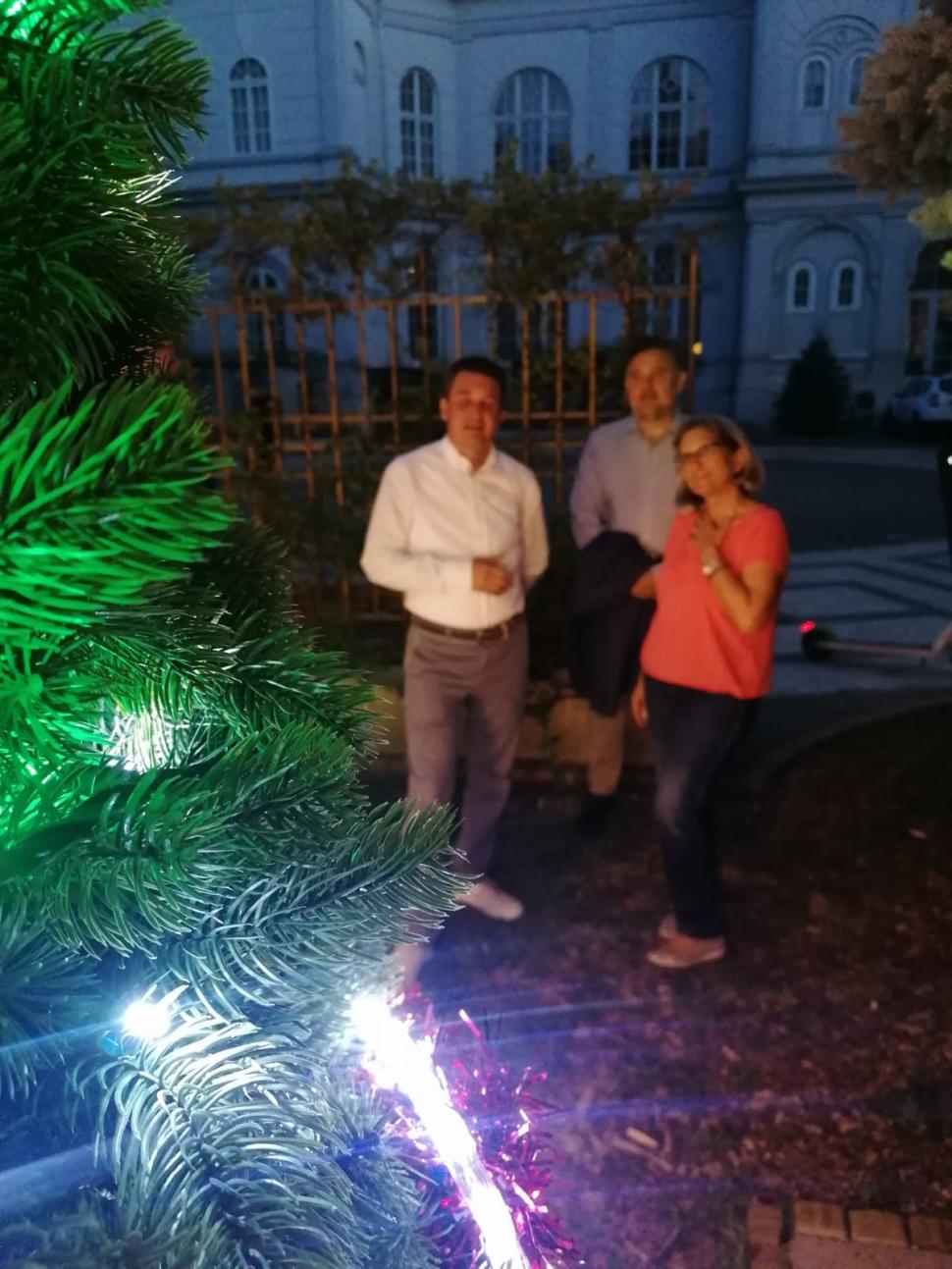 Primarul din Arad anunță, în luna lui Cuptor, că va cumpăra un brad de 20 de metri pentru Crăciun: "Ne pregătim!" 715418