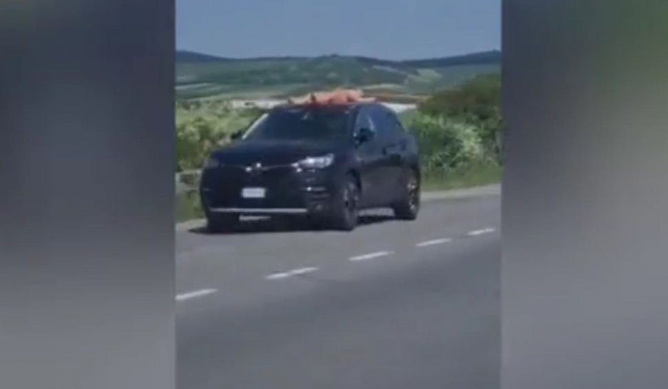 Topless pe mașină, pe o șosea din Mureș: ”Uite-o pe fată ce relaxată stă”