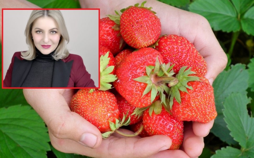 Alertă privind căpșunile, după o anchetă făcută de Antena 3. Medic: Efectele fungicidelor din acestea sunt dezastruoase