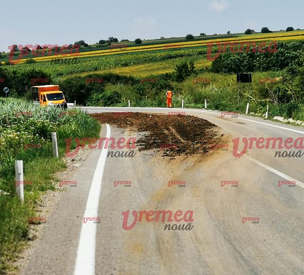 Tone de găinaț pe cel mai important drum european din Moldova. Şoferii nu au putut evita „norocul” ce le-a ieşit în cale 716522