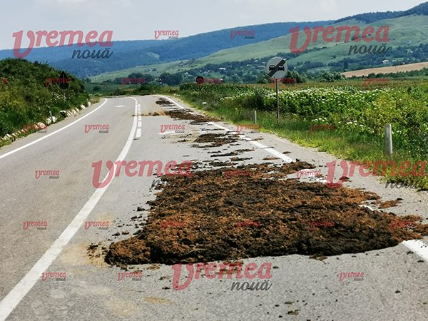 Tone de găinaț pe cel mai important drum european din Moldova. Şoferii nu au putut evita „norocul” ce le-a ieşit în cale