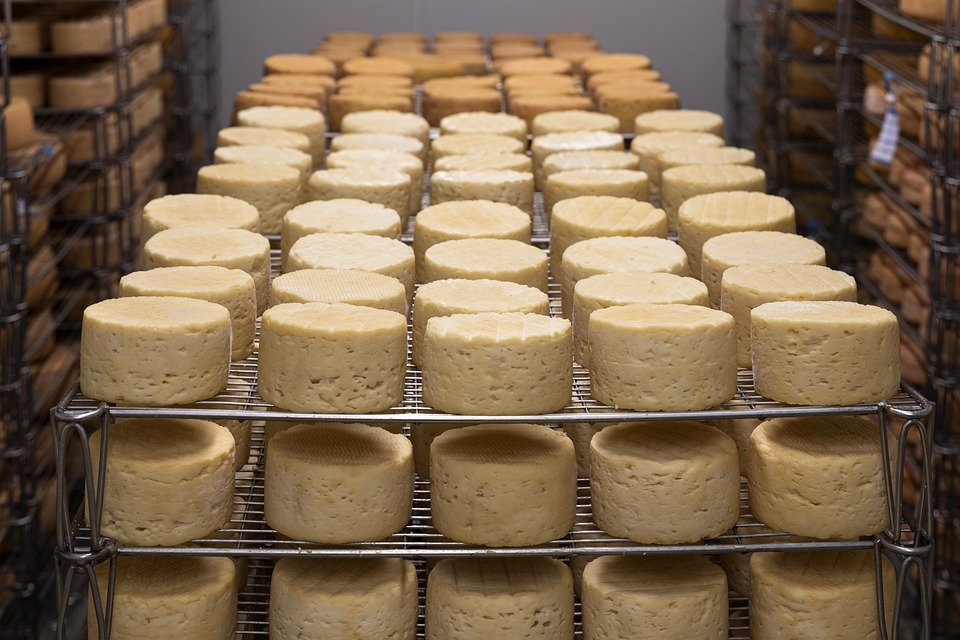 Cum arată brânza care nu a văzut vreodată laptele. Am testat mai multe sortimente de brânză din piețe și supermarketuri, iar rezultatele sunt îngrijorătoare