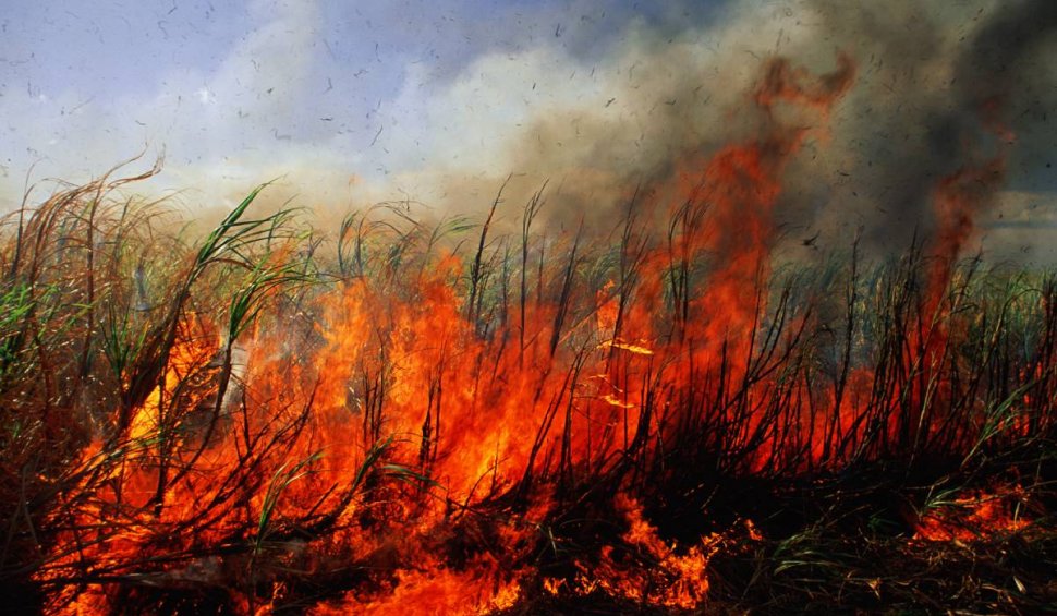 Recoltă de grâu, distrusă de un incendiu provocat de o rachetă antigrindină