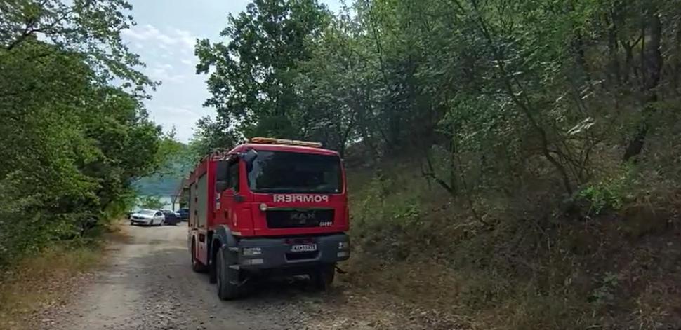 Arde pădurea de pin din Parcul Naţional Porţile de Fier! Pompierii sting flăcările cu lopata, nu se poate interveni cu apă în acea zonă 717139