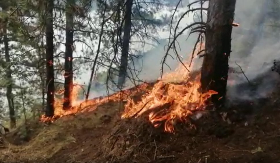 Incendiul din Parcul Natural Porţile de Fier, stins după 24 de ore. Au fost afectate zece hectare de vegetaţie